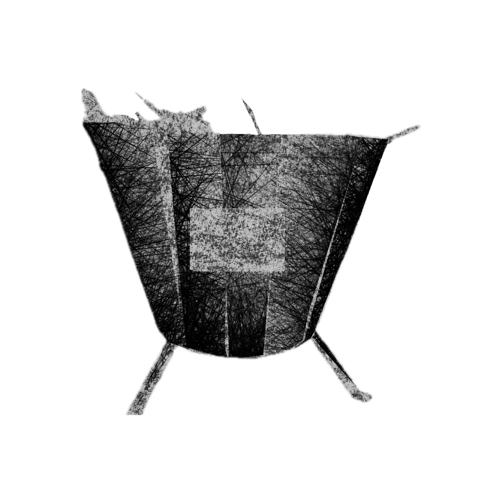 satyapura-biochar