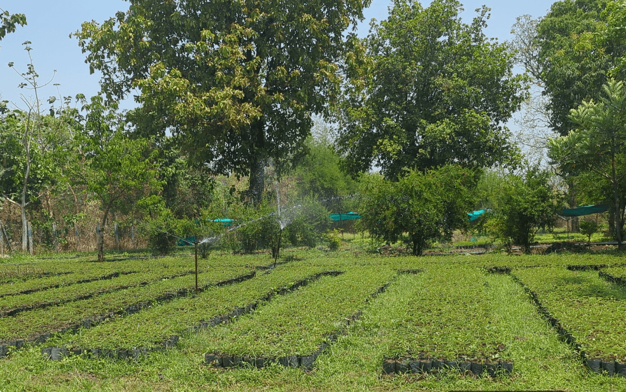 field - 2