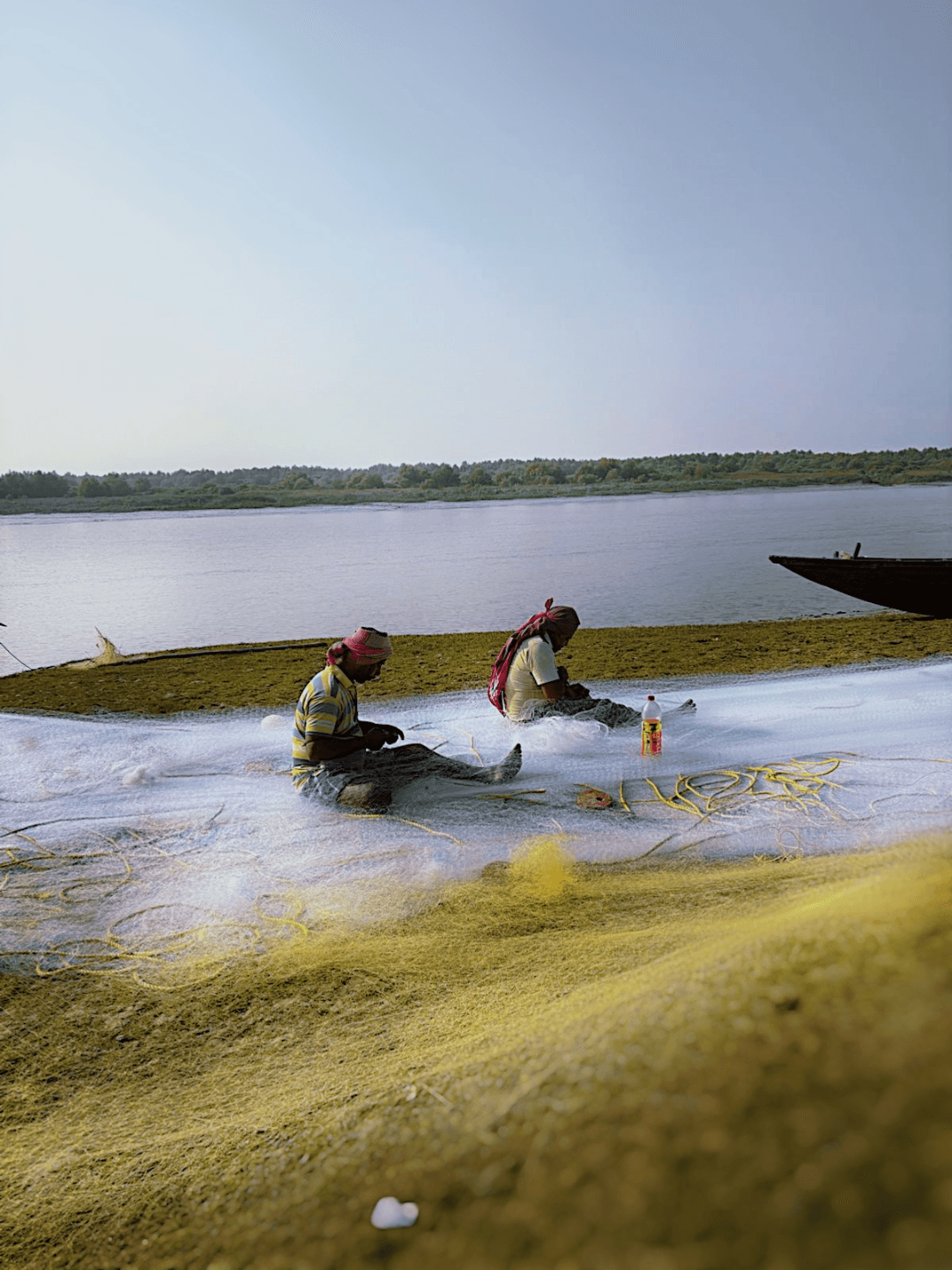 mangrove mitra - 2