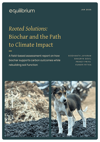 biochar-solutions